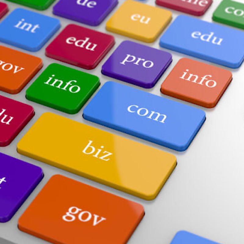 Domain Name Laws