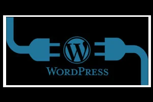 Important of WordPress Updates