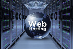 The Right Hosting Plan-for your Budget